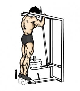 Huge CrossFit Calves