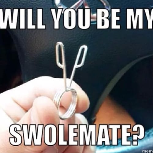 swolemate